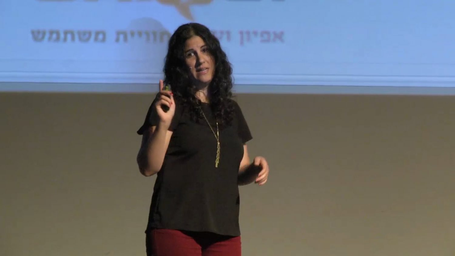 Video Image